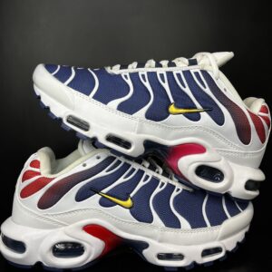 AIR MAX PLUS TN X PSG